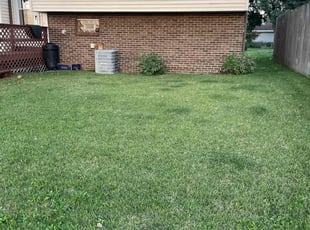 Crystal H.'s turf maintenance service result