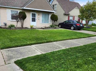 Shannon S.'s Bush Trimming service result