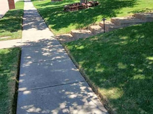 Harold B.'s lawn care service result