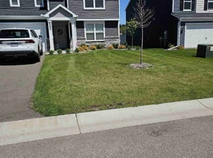 Lucretia W.'s lawn care service result