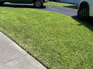 Anthony B.'s turf care service result