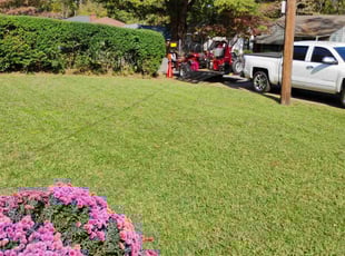 Aaron T.'s turf care service result