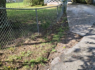 Patrick Z.'s Bush Trimming service result