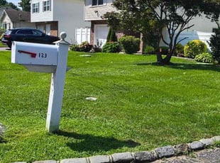 Darlene H.'s grass maintenance service result