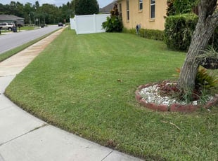 Pat C.'s grass cutting service result