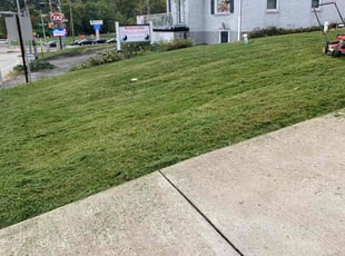 Paul G.'s lawn maintenance service result