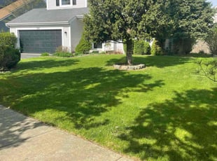 Roosevelt E.'s lawn care services service result