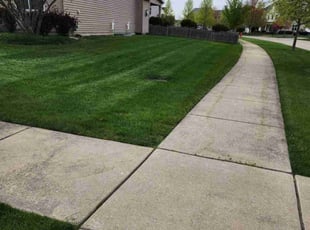 Greg H.'s lawn service service result