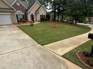 Kristi P.'s turf maintenance service result