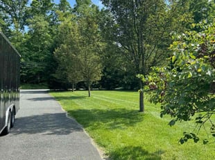 Pat B.'s lawn service service result