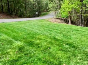 Sean C.'s grass cutting service result