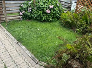 Ken C.'s grass maintenance service result