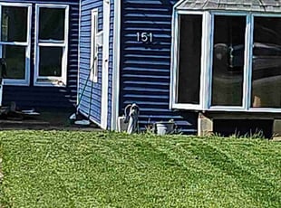 Samuel M.'s lawn service service result