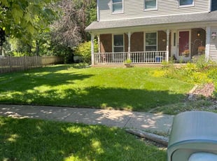 Aneesah M.'s lawn care service result