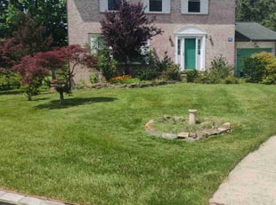 Rhonda S.'s turf care service result