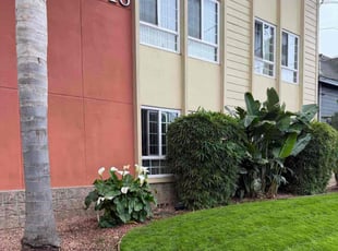 Alexander K.'s grass maintenance service result