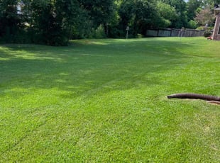 Karen S.'s lawn care service result