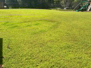 Myriam K.'s turf maintenance service result