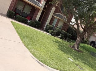 James S.'s Bush Trimming service result