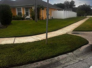 Kailey S.'s grass maintenance service result