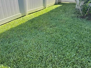 Jordan D.'s turf maintenance service result