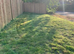 DeAndra J.'s lawn maintenance service result