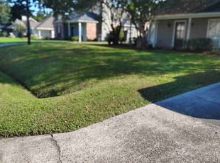 Georgia W.'s lawn care service result