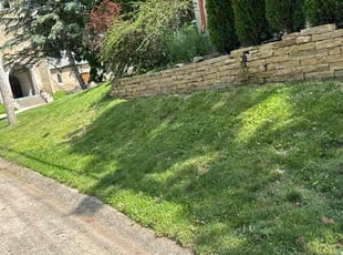 Duane B.'s lawn care services service result