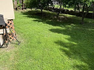 Kait T.'s lawn maintenance service result