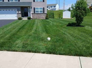 Vernon R.'s grass maintenance service result