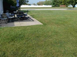 Penny W.'s lawn care service result