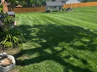Ferah K.'s lawn care service result