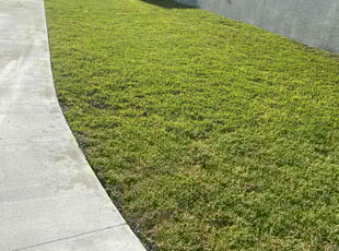 Eric L.'s lawn service service result