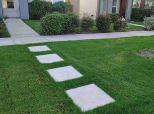 Thomas& A.'s lawn service service result