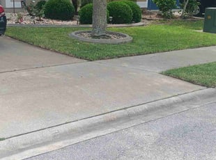 Robert B.'s turf maintenance service result