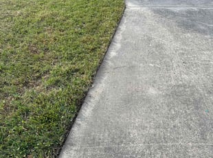 Vincent W.'s grass maintenance service result