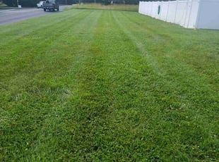 Bill H.'s lawn care service result