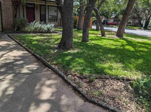 Justin L.'s turf care service result
