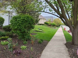 Bruce C.'s lawn care service result