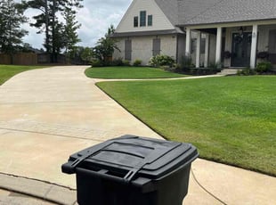 Ray Z.'s lawn care service result