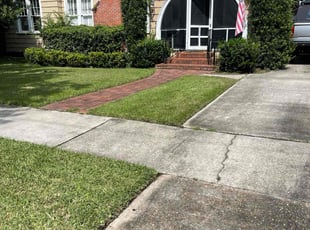 Glenita J.'s turf maintenance service result