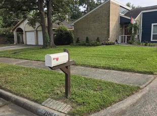 Barbara O.'s Long Grass Cleanup service result
