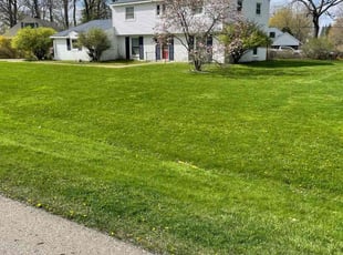 Jorge O.'s lawn maintenance service result