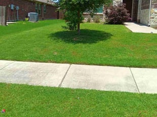 Eve L.'s lawn care service result