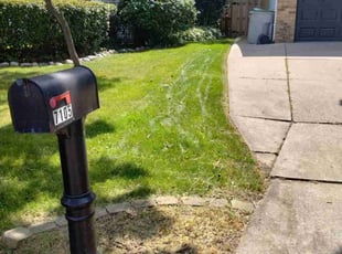 RICH O.'s lawn service service result