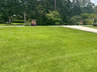 Lisa C.'s lawn care service result