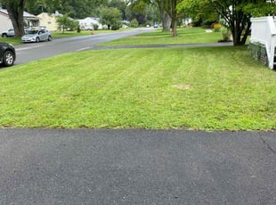 Caroline K.'s lawn service service result