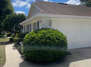 Tiffany H.'s Bush Trimming service result