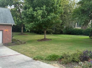 Munira A.'s lawn maintenance service result