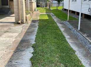 Bryanna C.'s lawn care services service result